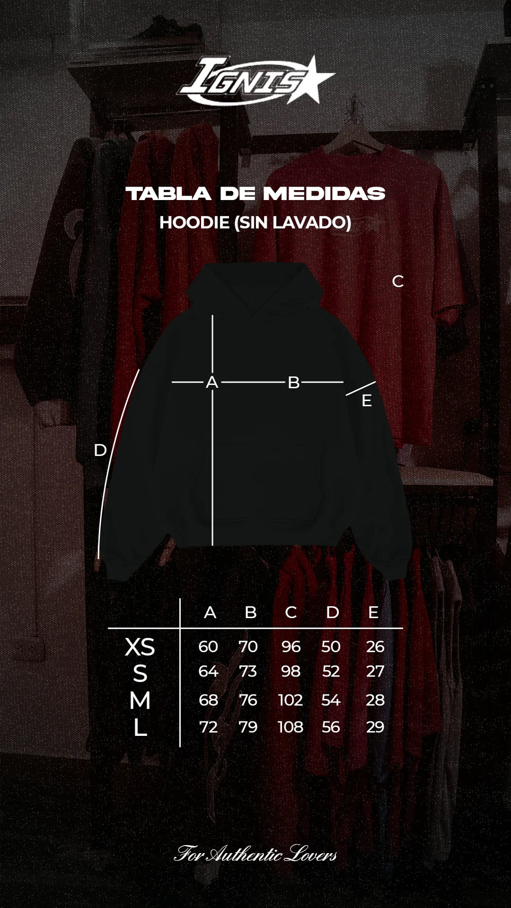 Stay Without Limits Hoodie - IGNIS
